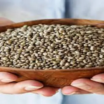 Hemp Seeds